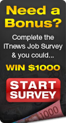iTnews 2009 Job Survey